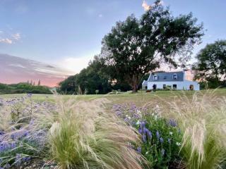 Maison lumineuse en pleine nature, 800 m de la mer, proche plage, jardin, WiFi, tout équipé. - FR-1-418-229 - Locmaria - 3
