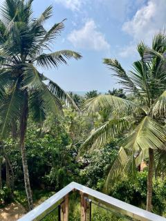 Atteriya HILLTOP - Matara - 2