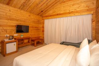 Dallas Beach Resorts Ashvem Beach - Mandrem - 8