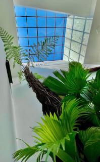 LaLa Citadel Homestay - 3