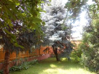 ABBA Gyula apartman - 4