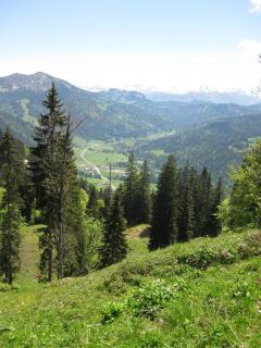 Kienle - das Kräuterhotel - Balderschwang - 2