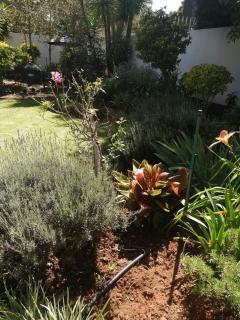 The Greer - Roodepoort - 3