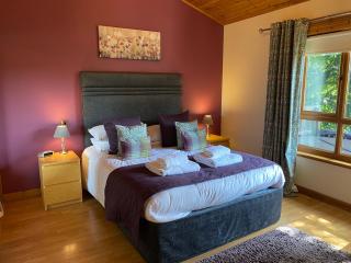 Silver Birch Lodge with Hot Tub - 4