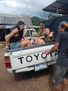 Red orchid pai Thailand - 6