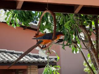 Vila Santa Fé - Porto Seguro - 0