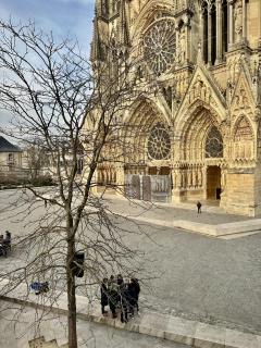 The Peregrines Nest - Reims - 8