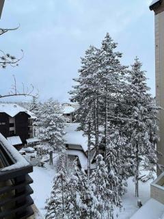 Pino Marengo - Zlatibor - 6