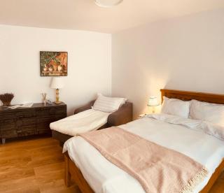 Warm and cozy studio flat near Straja - Uricani - 6