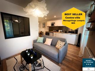 Au cœur de Castres, logement cosy classé 3*** - Castres - 0