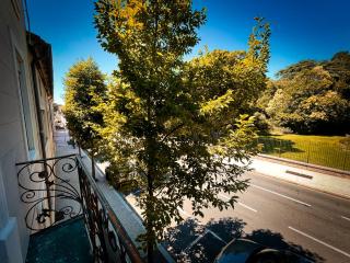 Au cœur de Castres, logement cosy classé 3*** - Castres - 1