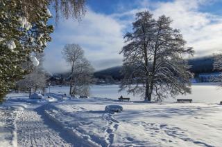 Waldtwin 1 Titisee - Balkon mit Naturblick und Seenähe 5 Minuten - 1