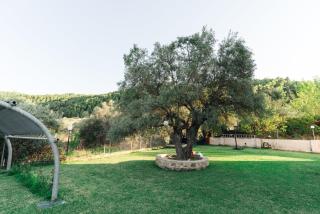 Family Villas - Vourvourou - 8
