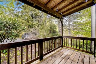 Sugar Mountain Serenity - Banner Elk - 3