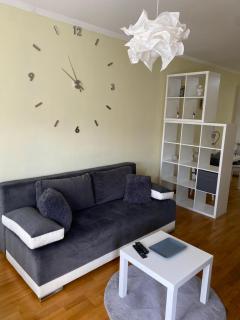 Apartment Sunflower021 - Novi Sad - 4
