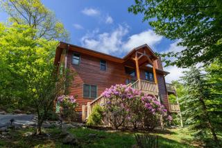 Bearadise Cabin - Sugar Mountain - 9