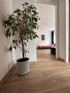 Agroturystyka Pod Świerkami - Marciszów - 5