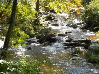 Paradise Found - Valle Crucis - 9