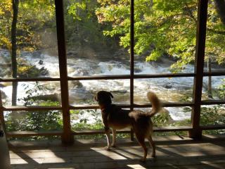 Paradise Found - Valle Crucis - 8