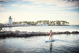 Courtyard by Marriott Faro Blanco Resort - Marathon - 8