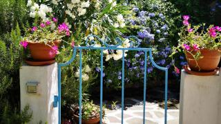 Welcomely - L'Oleandro - Olbia - 8
