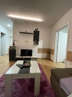 APARTMAN MIK NOVI SAD - Novi Sad - 1