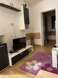 APARTMAN MIK NOVI SAD - Novi Sad - 0
