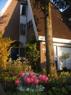 B&B-Edam - Edam - 3