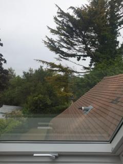 Little Robin Gate - Free Parking - Central - 10 min Walk to Train Station - Bournemouth - 2