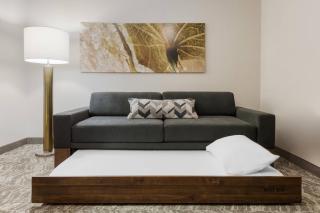SpringHill Suites by Marriott Cleveland Solon - Solon - 1