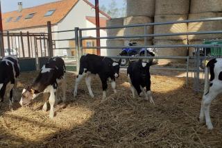 Gîte à la ferme le vivier - Lottinghen - 7