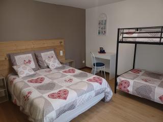 GITE DES 3 JONQUILLES - Saint-Maurice-sur-Moselle - 9