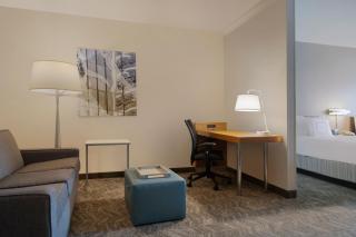 SpringHill Suites by Marriott Newark International Airport - 4