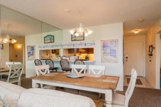 A Pelican's Paradise - Caswell Beach - 2