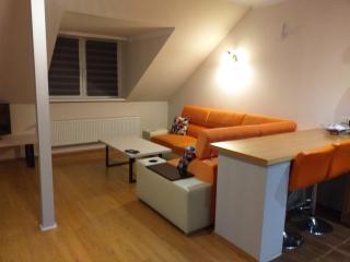 APARTAMENT NA DOBY - LUBIN - 4
