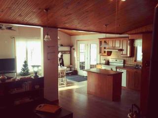 Le Chalet Bleu, aux pieds des Monts-Valin - Saint-David-de-Falardeau - 3
