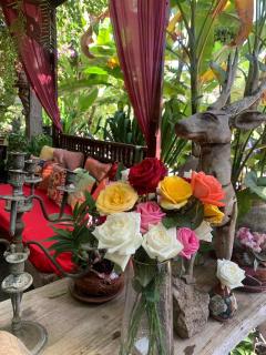 Hongkhao Village - Chiang Mai - 4