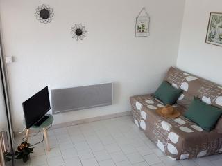 Appartement climatisé avec loggia, parking privé et proche plage à Sète - FR-1-338-442 - Sète - 0