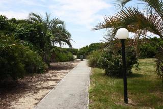 Sea-Nic View - Caswell Beach - 8