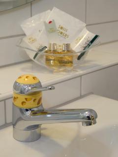 Seehotel Delphin - Meisterschwanden - 5