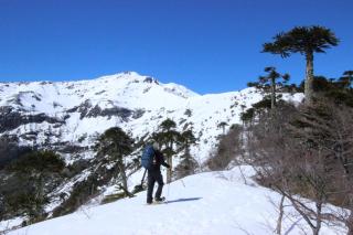 Chile Wild - Las Vertientes - 3