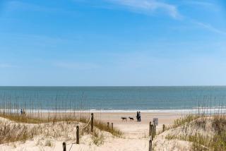 Beechouse - Caswell Beach - 8