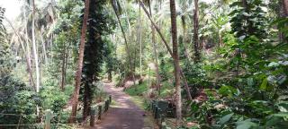 Windy Ridge Kandy - 1