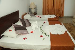 Hotel Heladiv - Anuradhapura - 8