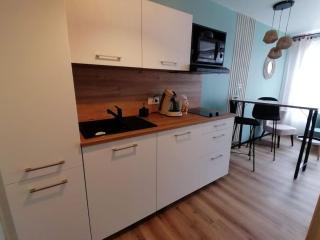 Studio neuf - parking - 3 Epis proche Turckheim - Turckheim - 5