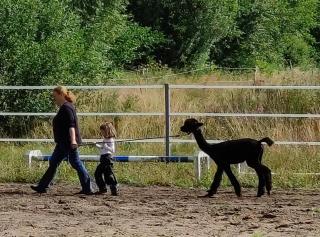 Ferienhof-Störwiese - 8