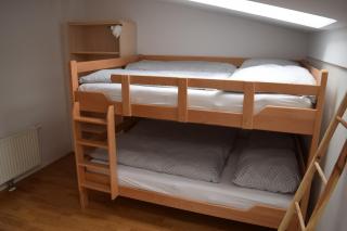 Apartment Alpina - Hočko Pohorje - 1