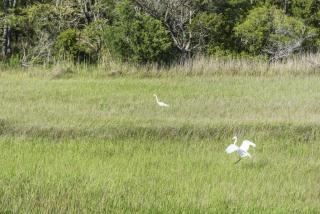 Lay Z Days by Oak Island Accommodations - 3
