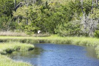 Lay Z Days by Oak Island Accommodations - Oak Island - 1