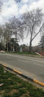 Royal apartment 1 - Dushanbe - 8